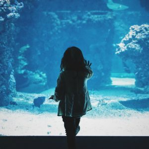 un enfant de dos qui pose une main sur un aquarium géant